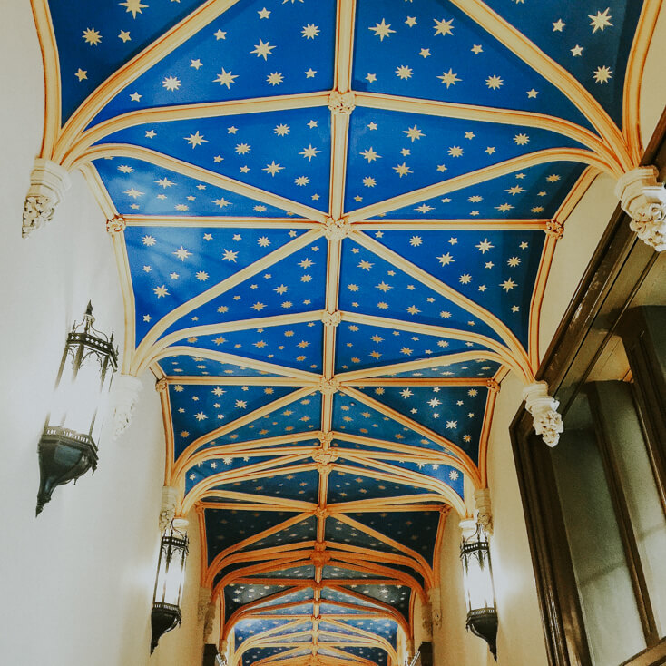 Decoractive Ceiling